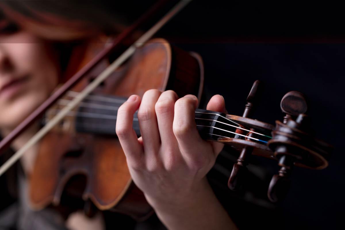 Home-violin-1 Home-violin-1
